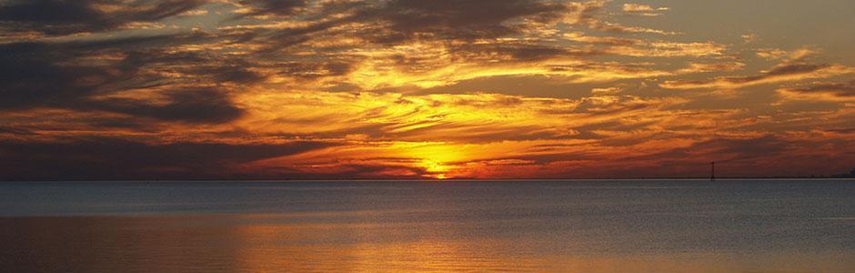 property management apollo beach fl apollo beach fl