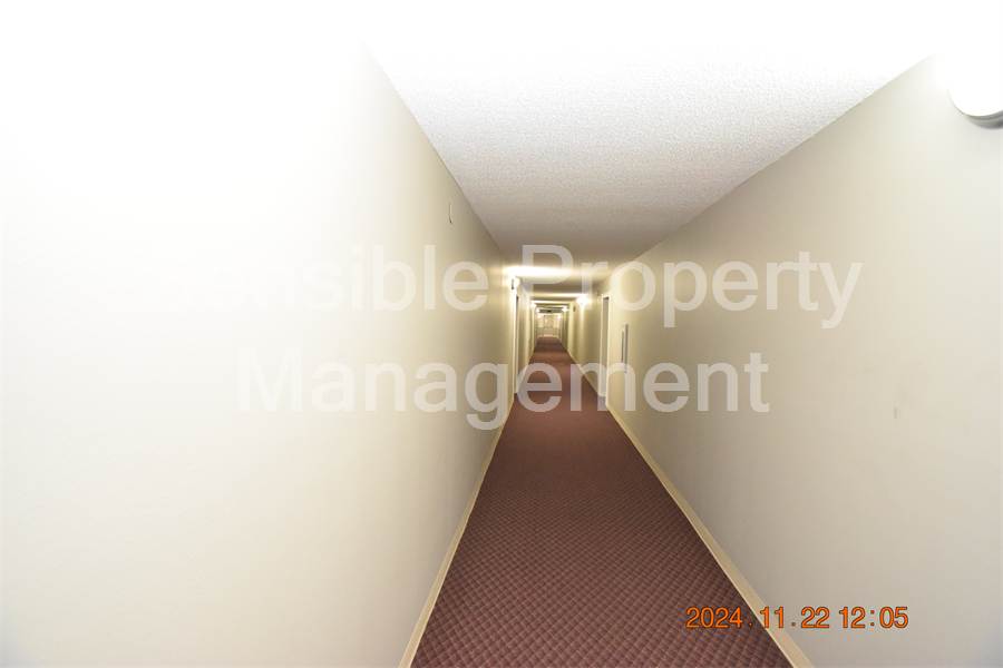 Photo Nov 22 2024 12 04 17 PM Resized