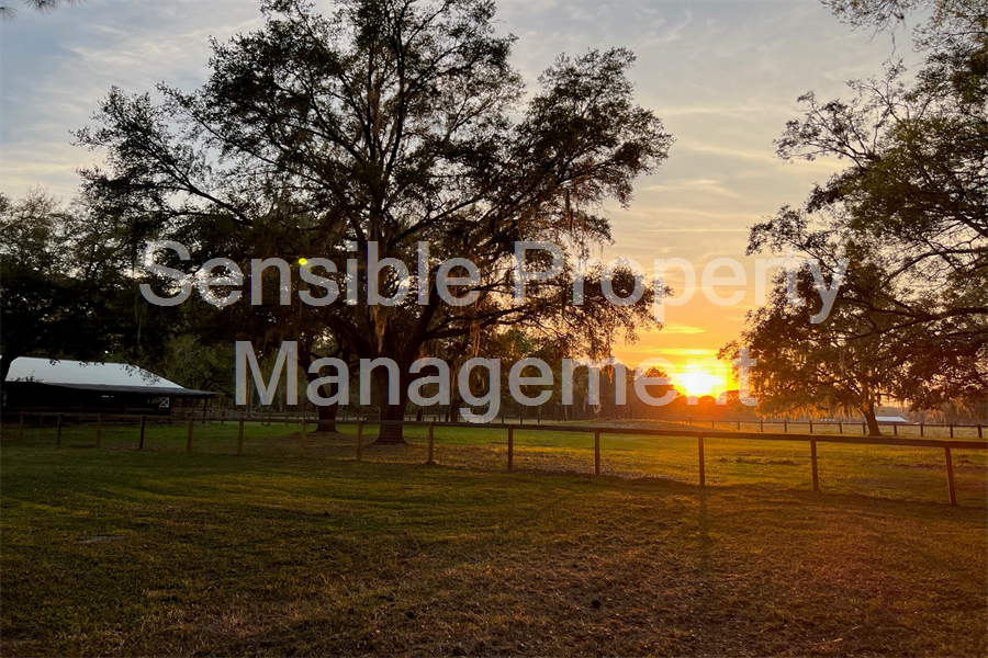 stress free property management